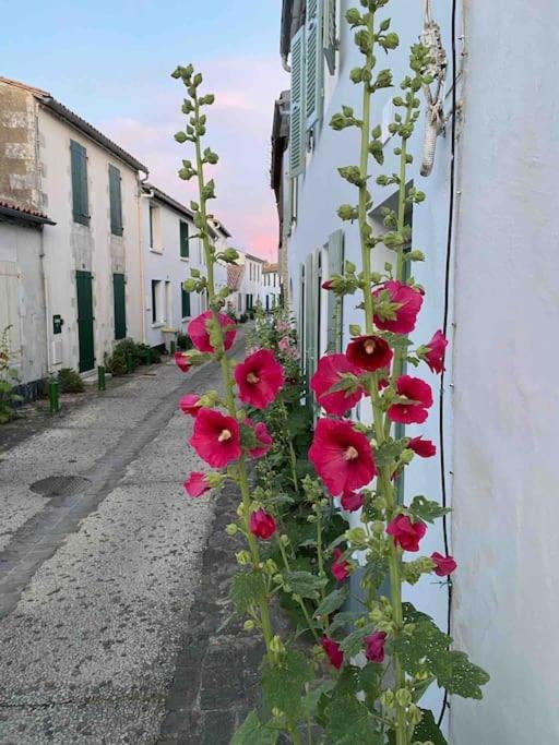 Maison De Vacances La Flotte 00491Ui Dış mekan fotoğraf